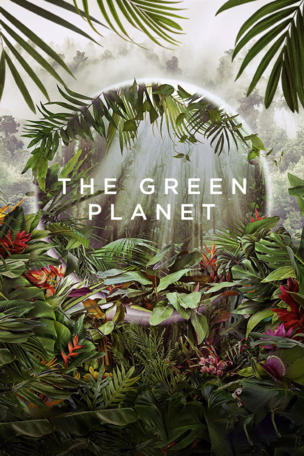 Tropical Worlds