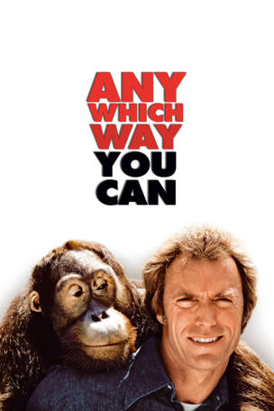 Any Which Way You Can