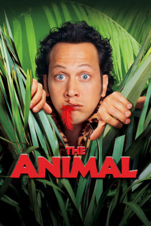 Animal